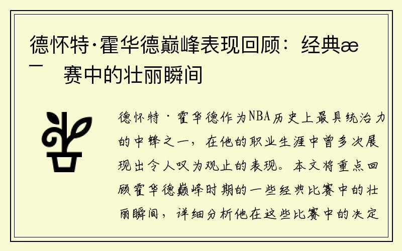 德怀特·霍华德巅峰表现回顾：经典比赛中的壮丽瞬间